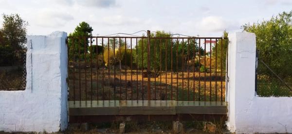 Terreno en calle Pinaeta, 11 photo 2
