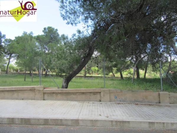 Terreno en calle 15 photo 1