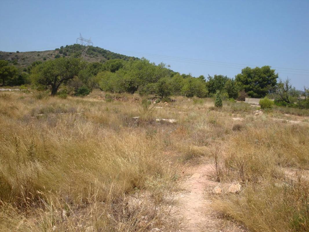 Terreno en venta en Puig, Valencia photo 1