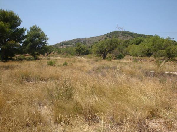 Terreno en carretera Bonavista, 9 thumbnail 1