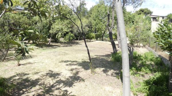 Terreno en camino Ermita Nova photo 1
