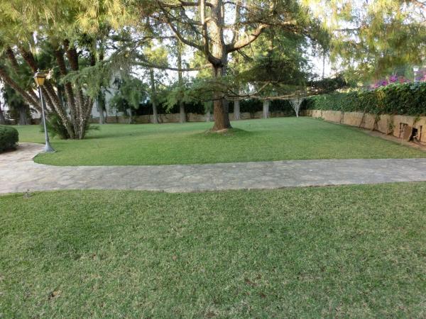 Terreno en Rocafort photo 4