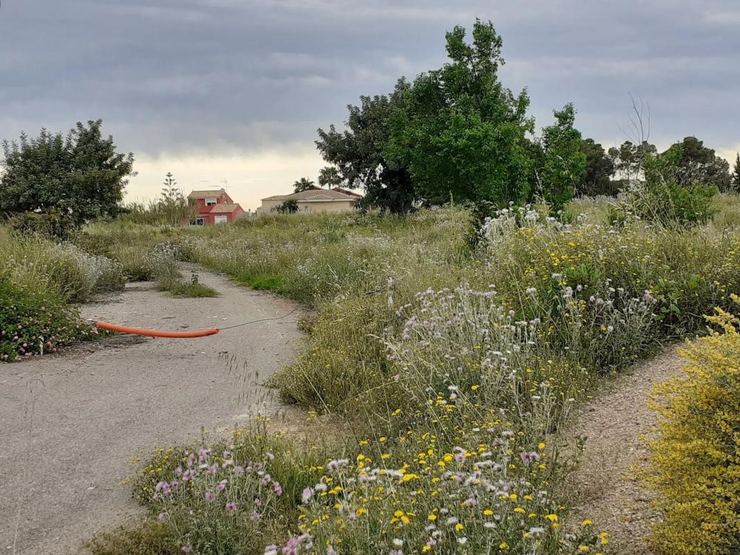 Terreno en venta en Puçol, Valencia photo 1