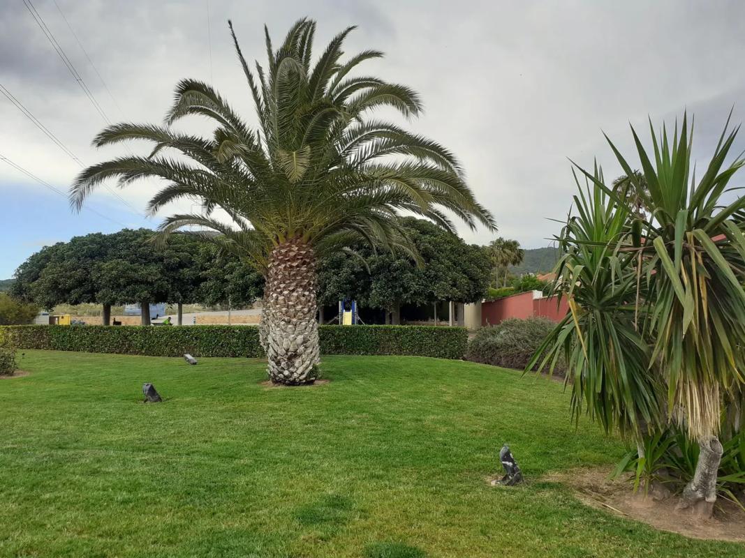 Terreno en venta en Puçol, Valencia photo 2