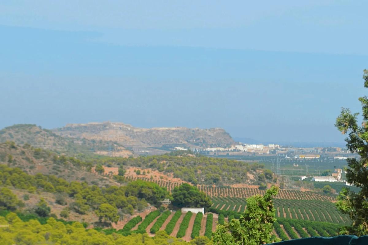 Terreno en venta en Puçol, Valencia photo 4