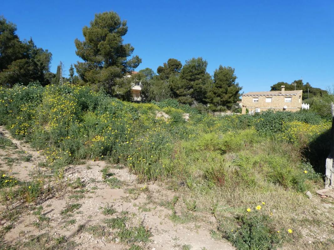 Land for sale in Moncada, Valencia photo 1