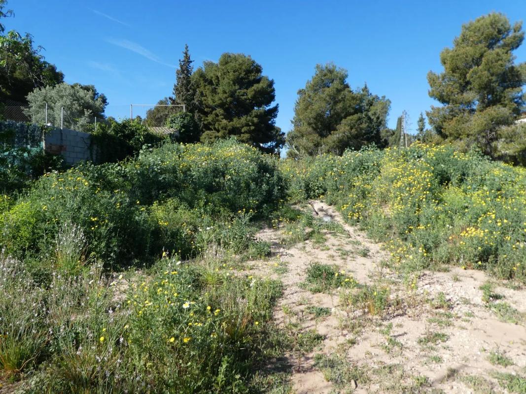 Land for sale in Moncada, Valencia photo 2