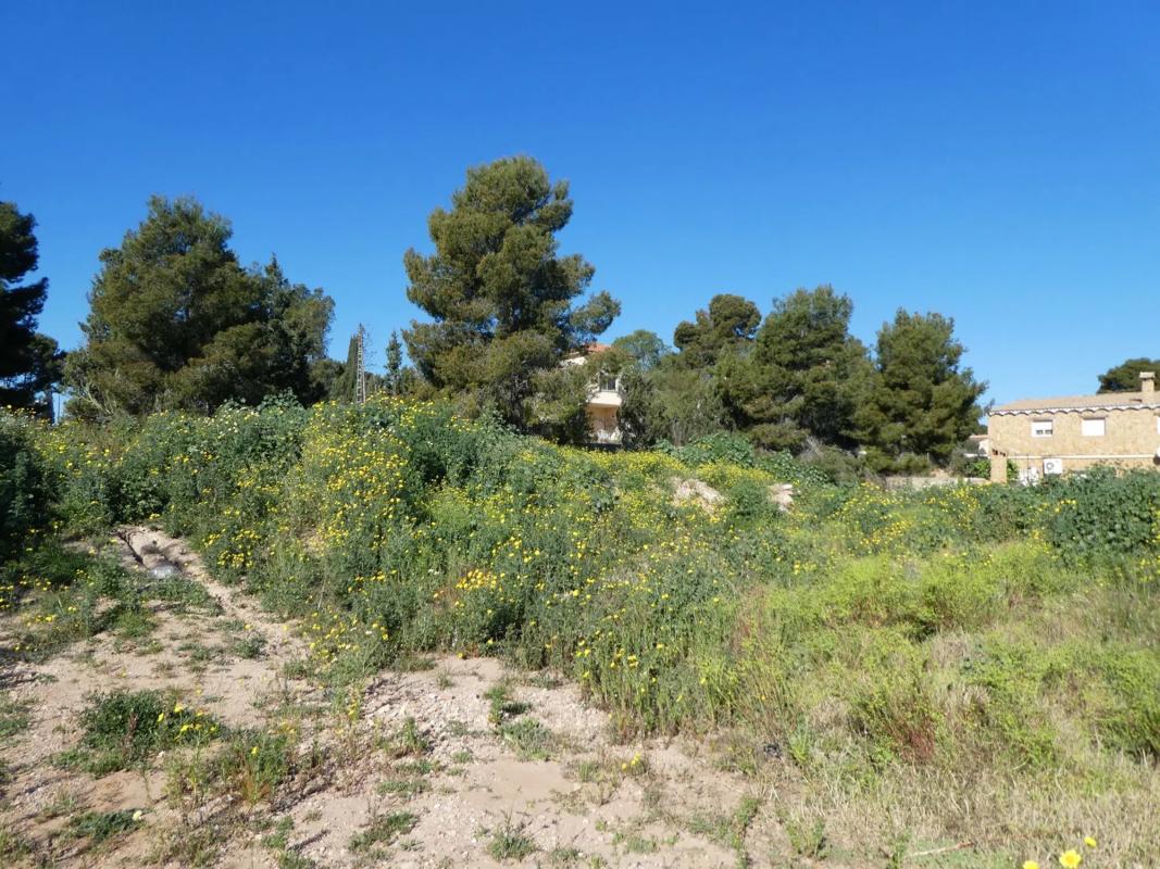 Land for sale in Moncada, Valencia photo 4