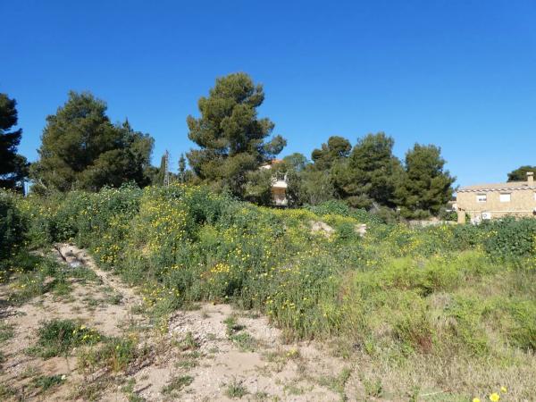 Terreno en Moncada photo 4