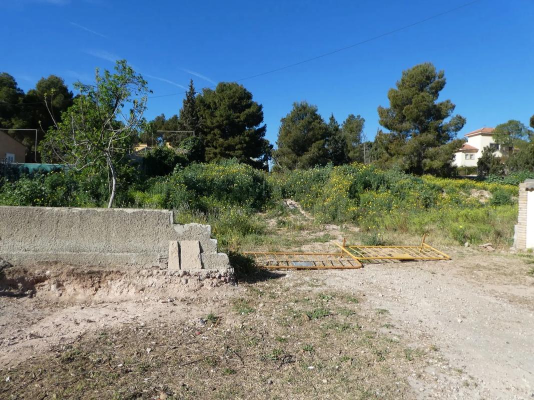 Land for sale in Moncada, Valencia photo 5