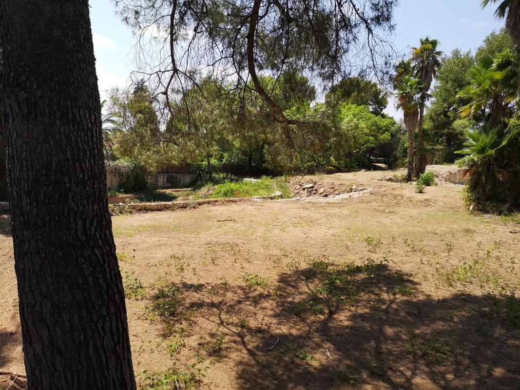 Terreno en venta en Rocafort, Valencia photo 5