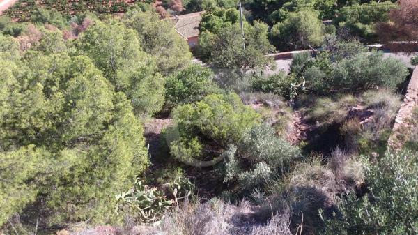 Terreno en Los Monasterios-Alfinach photo 4