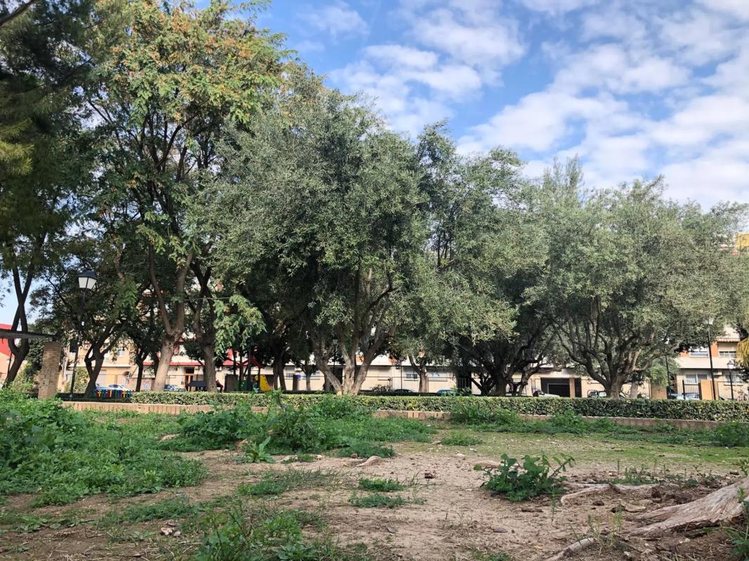 Land for sale in Tavernes Blanques, Valencia photo 4