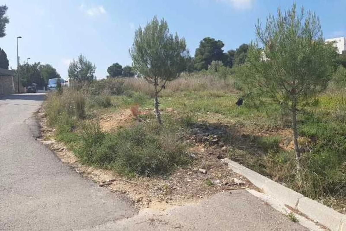 Propiedades en venta y alquiler en España photo 2