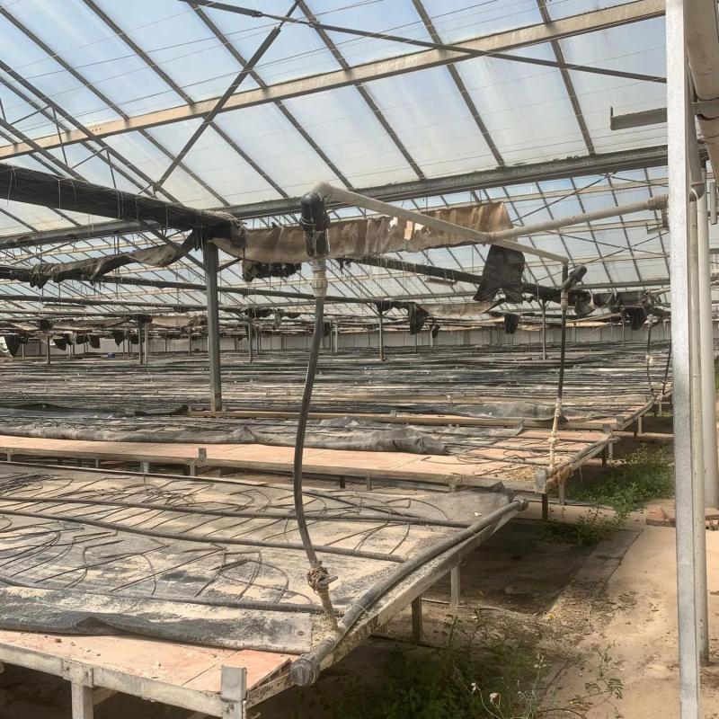 Terreno en venta en Picanya, Valencia photo 4