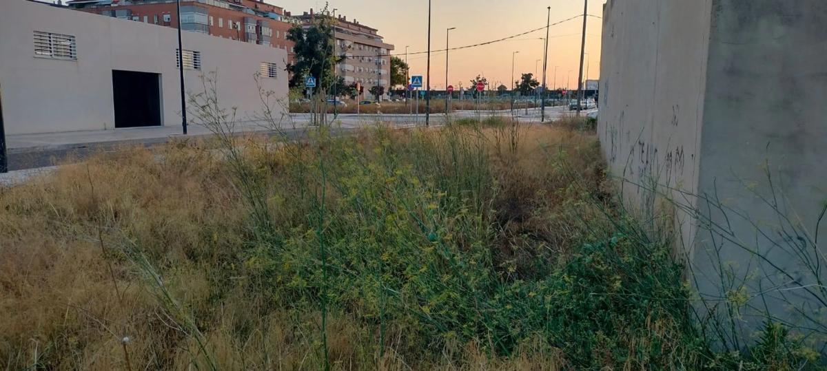 Land for sale in Silla, Valencia photo 3