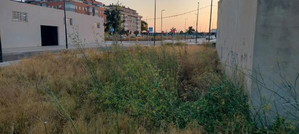 Terreno en avenida de Manuel Broseta Pont s/n thumbnail 2