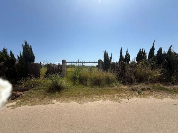 Terreno en camino Terres Noves s/n photo 1