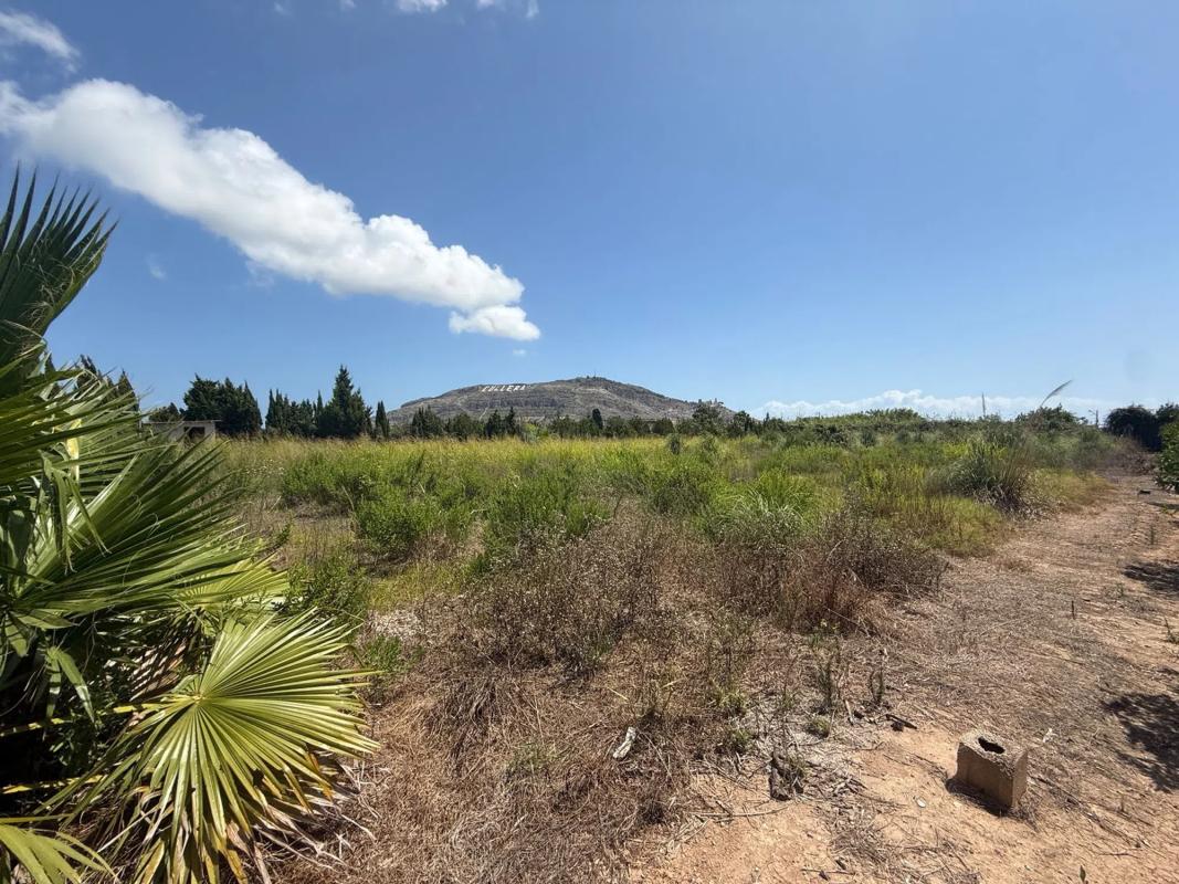 Terreno en venta en Beniparrell, Valencia photo 4