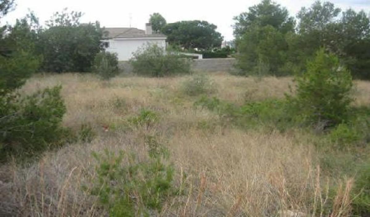 Properties for sale and rent in Spain photo 2