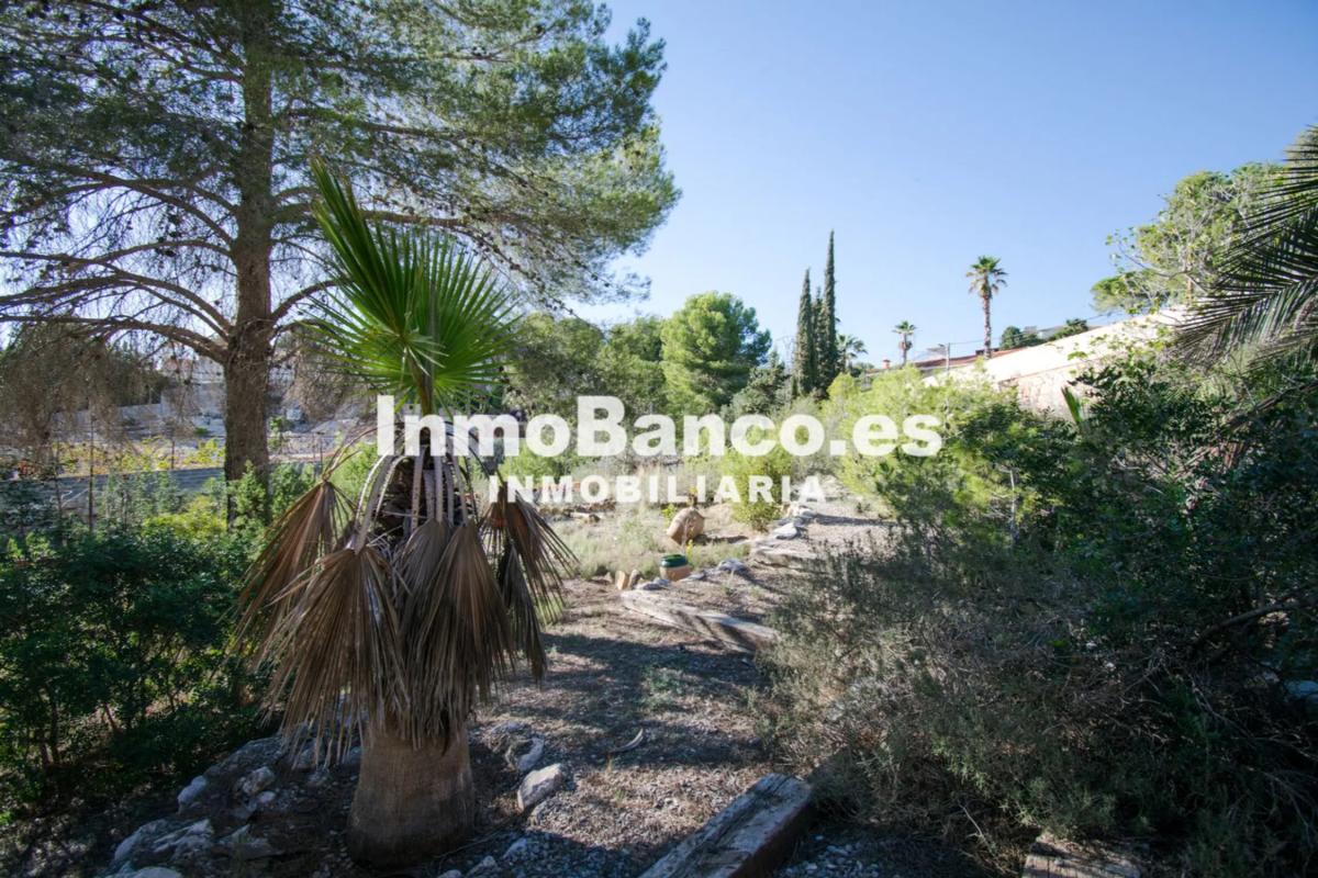Propiedades en venta y alquiler en España photo 1