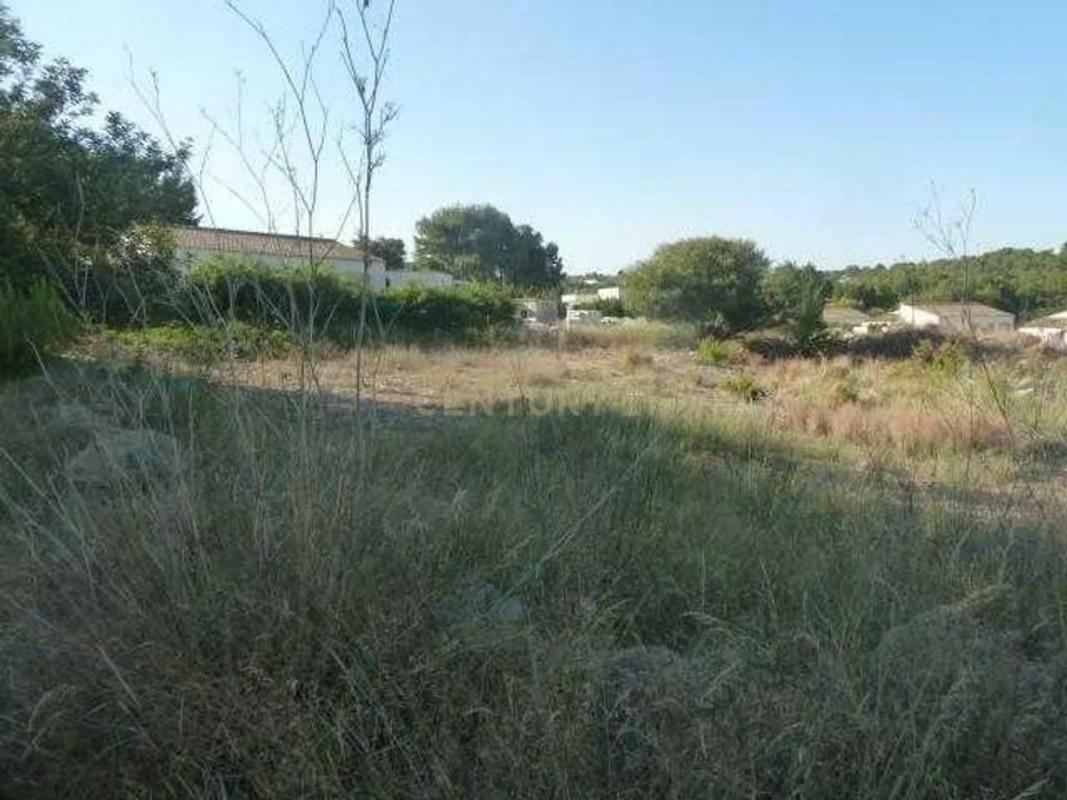 Propiedades en venta y alquiler en España photo 4