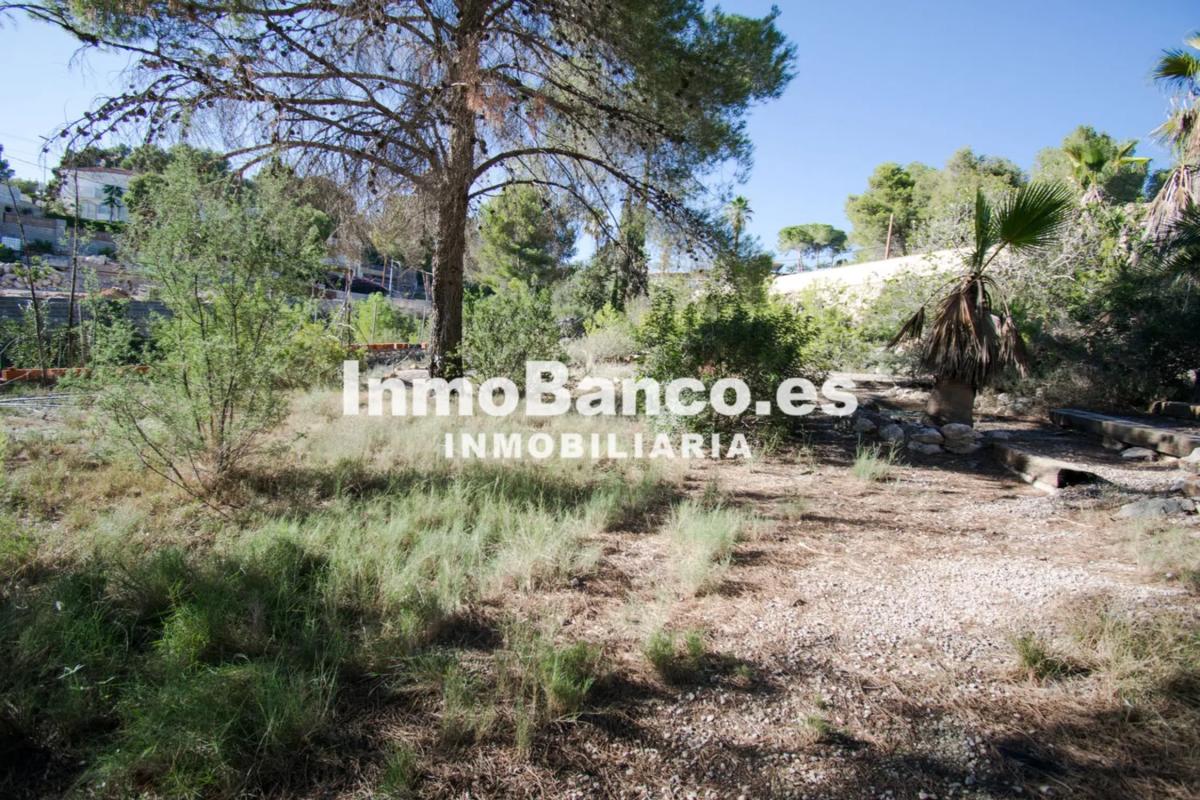 Propiedades en venta y alquiler en España photo 4