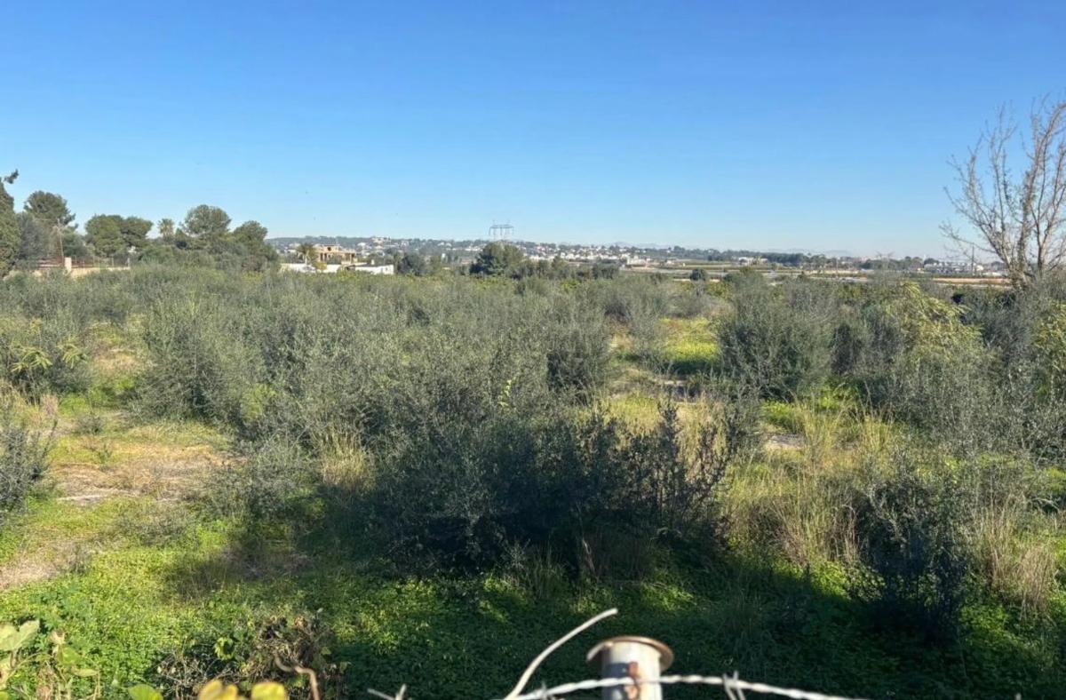 Terreno en venta en Picassent, Valencia photo 2