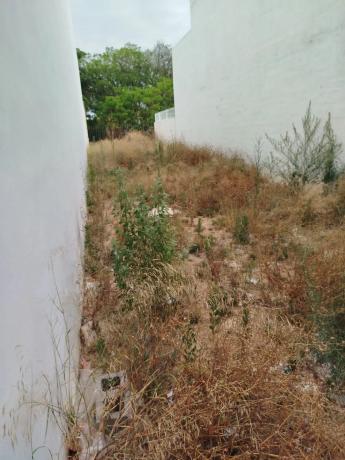 Terreno en avenida de la Albufera photo 3