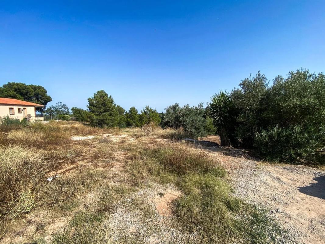 Properties for sale and rent in Spain photo 3
