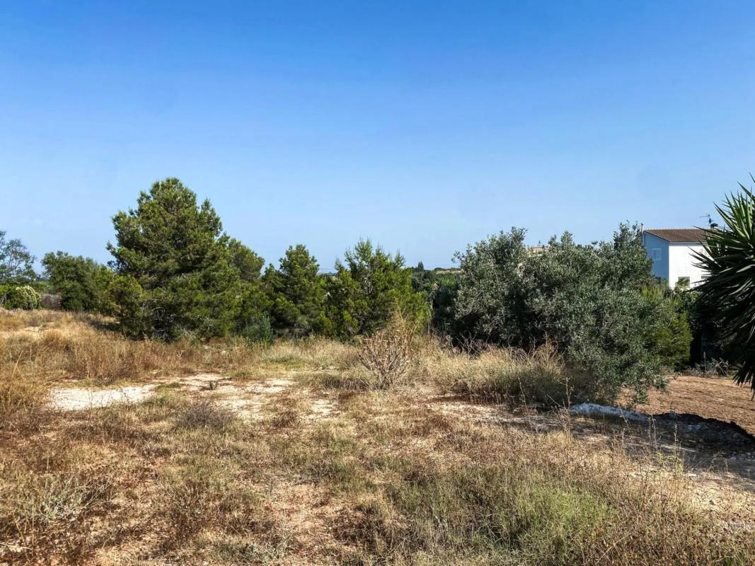 Properties for sale and rent in Spain photo 4