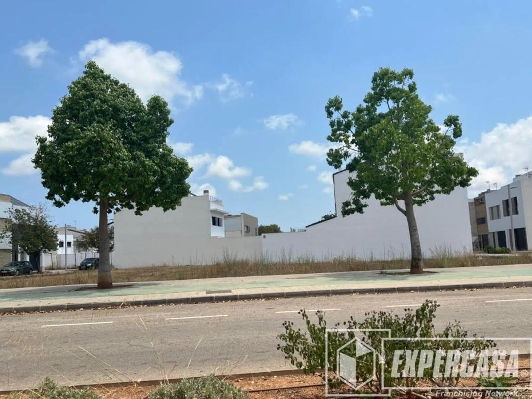 Land for sale in Silla, Valencia photo 1