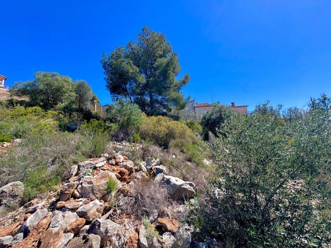 Properties for sale and rent in Spain photo 2