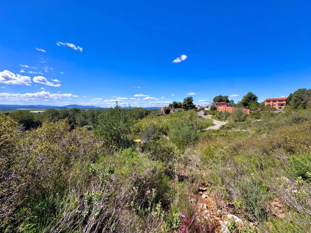 Properties for sale and rent in Spain photo 3