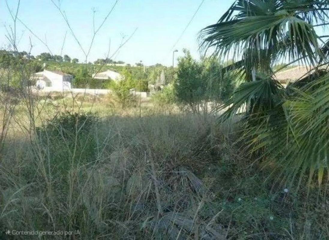 Properties for sale and rent in Spain photo 2