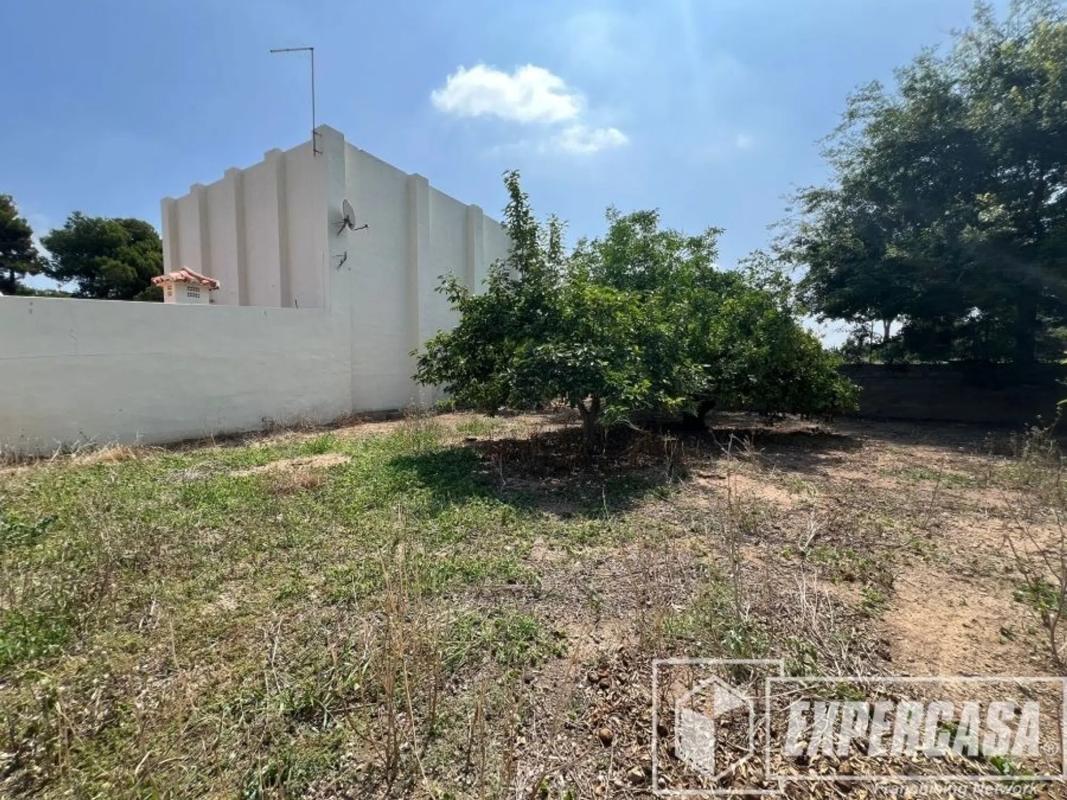 Участок земли на продажу в Пикасент, Валенсия photo 4