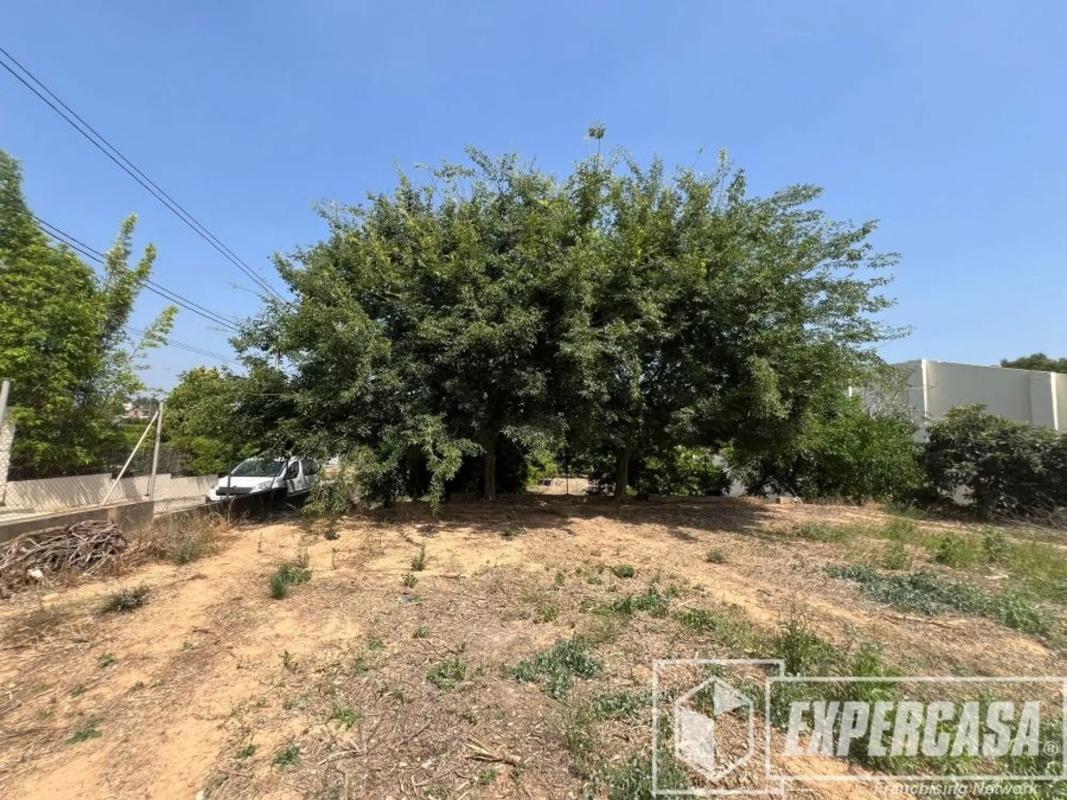 Участок земли на продажу в Пикасент, Валенсия photo 5