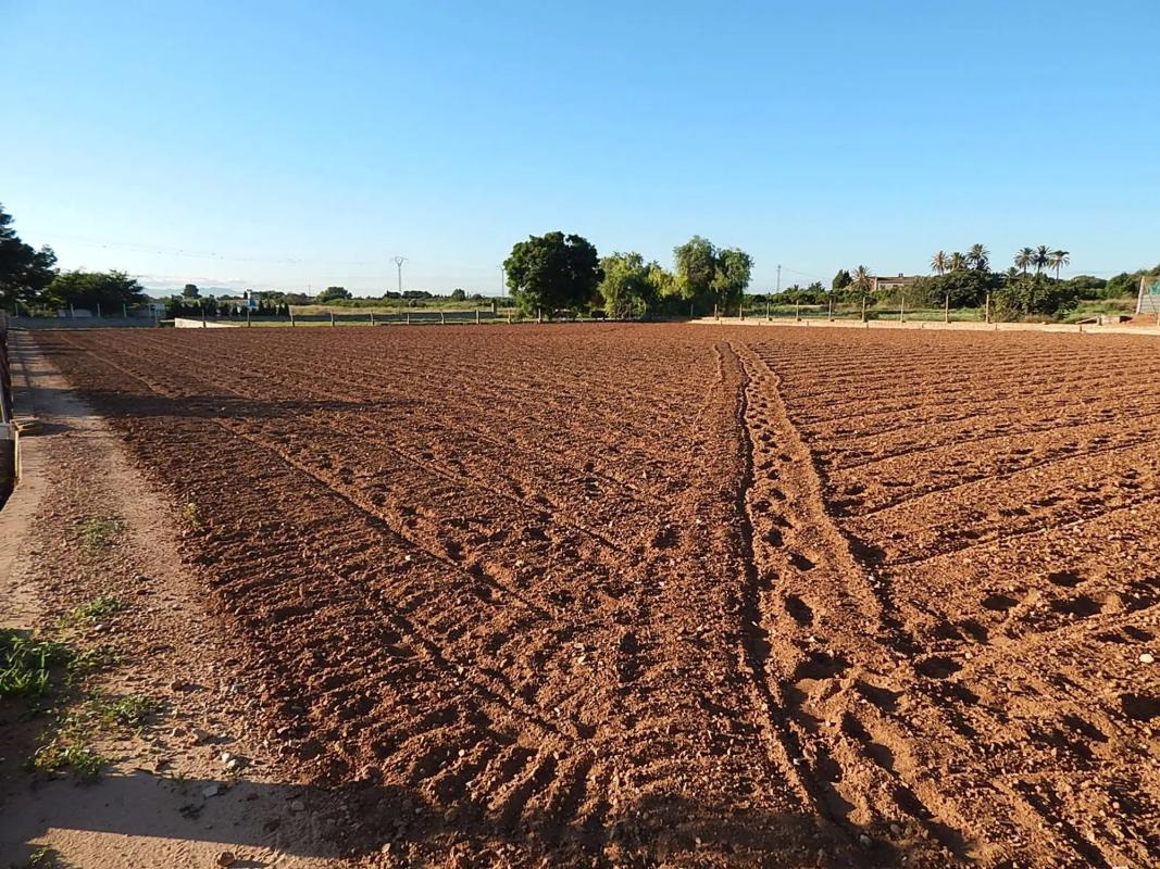 Terreno en venta en Albal, Valencia photo 5