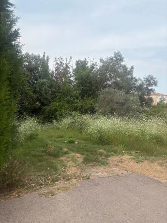 Terreno en Urb. Lloma la Verge. calle Nesper s/n photo 2
