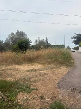 Terreno en Urb. Lloma la Verge. calle Nesper s/n photo 4