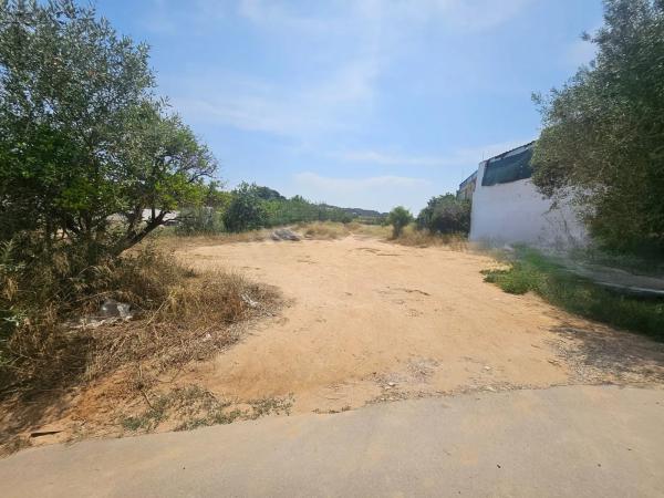 Terreno en calle San Hermenegildo photo 3