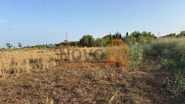 Terreno en plaza Numero 34-dis photo 2