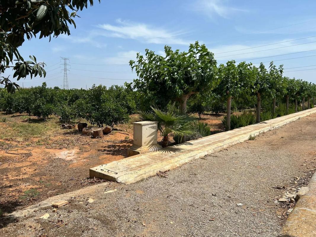 Land for sale in Alcàsser, Valencia photo 2