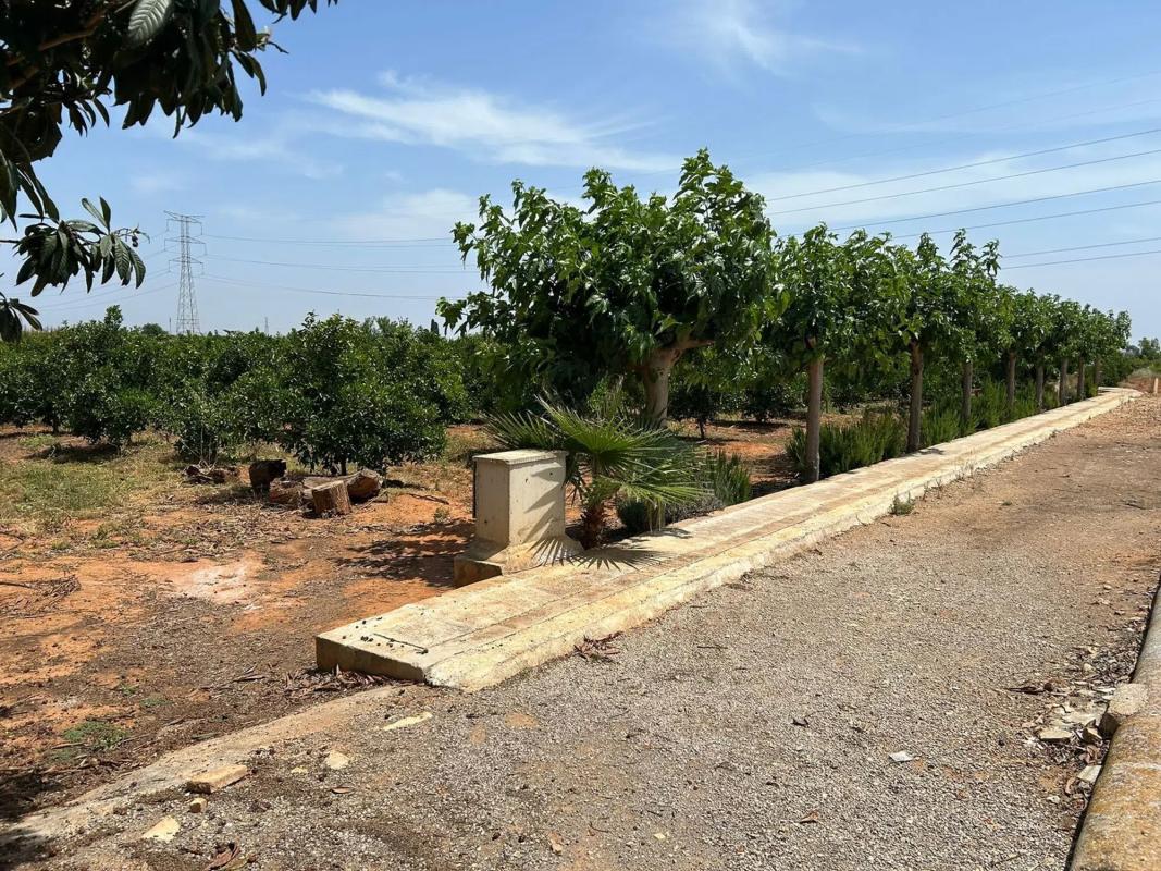 Land for sale in Alcàsser, Valencia photo 3