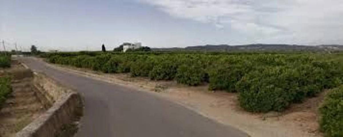 Land for sale in Alcàsser, Valencia photo 5