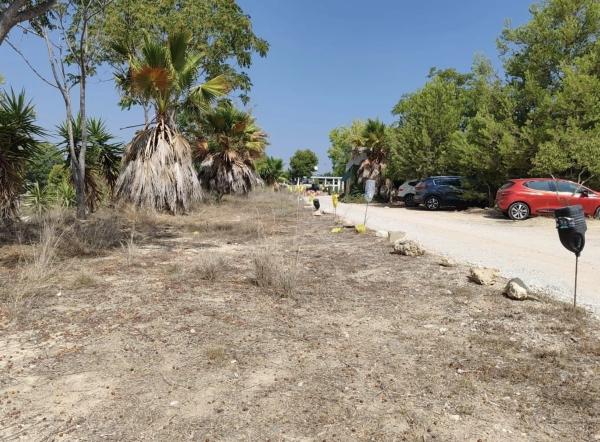 Terreno en Partida Xarcos Secs, 1 photo 3