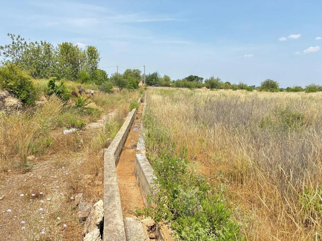 Properties for sale and rent in Spain photo 5