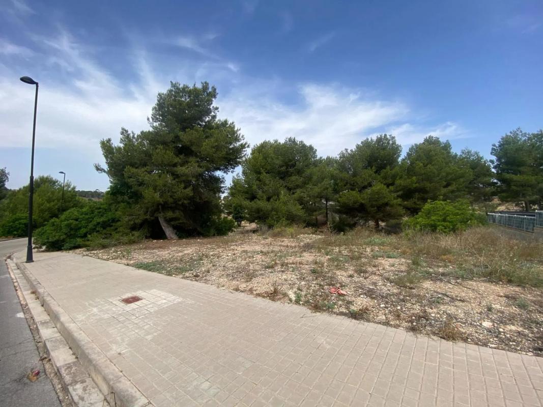 Properties for sale and rent in Spain photo 3