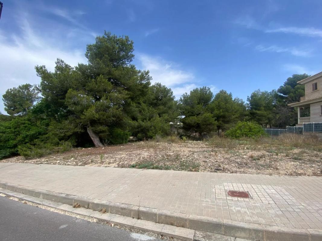 Properties for sale and rent in Spain photo 4