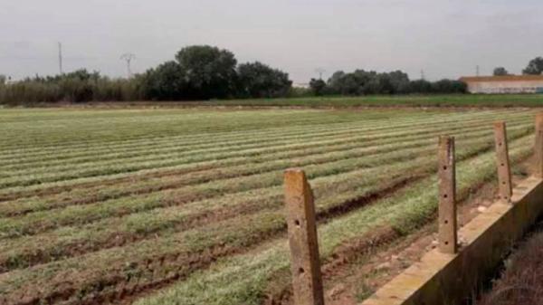 Terreno en Partida Rio photo 1